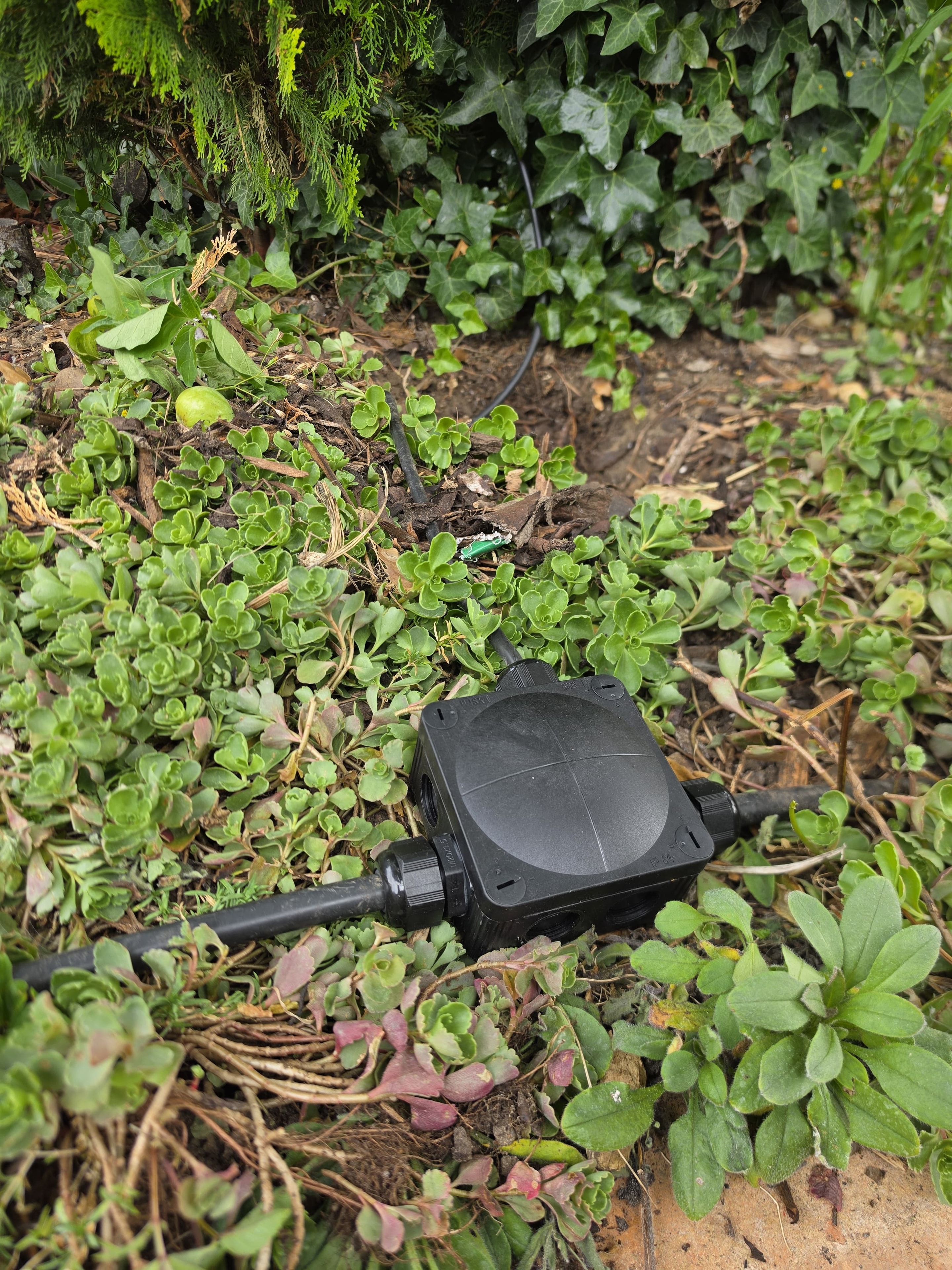 New IP-rated weatherproof junction box installed in garden border in Molesey — gel-filled and correctly sealed for permanent outdoor use