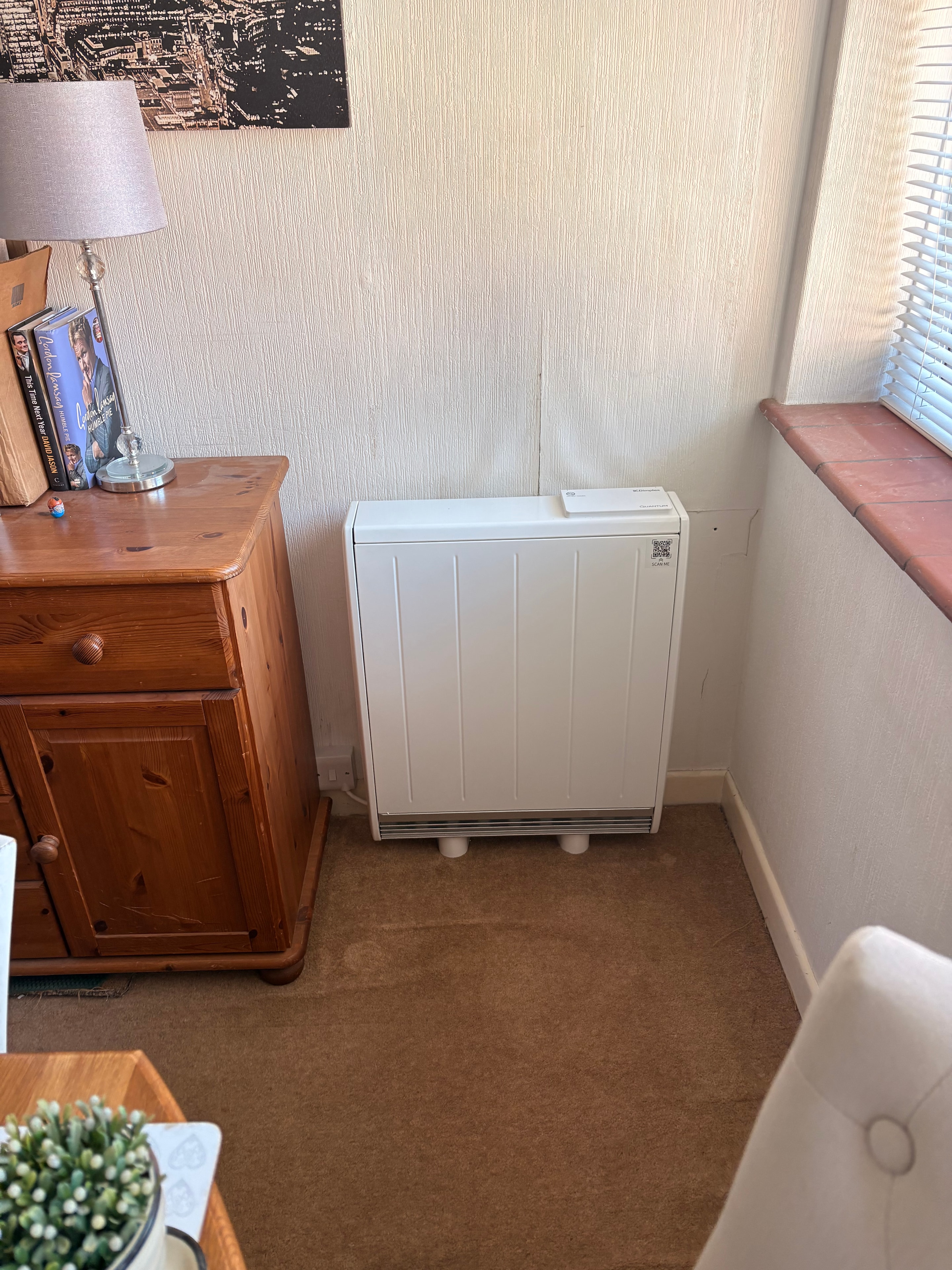 New storage heater installed in the lounge — government grant scheme, Surrey