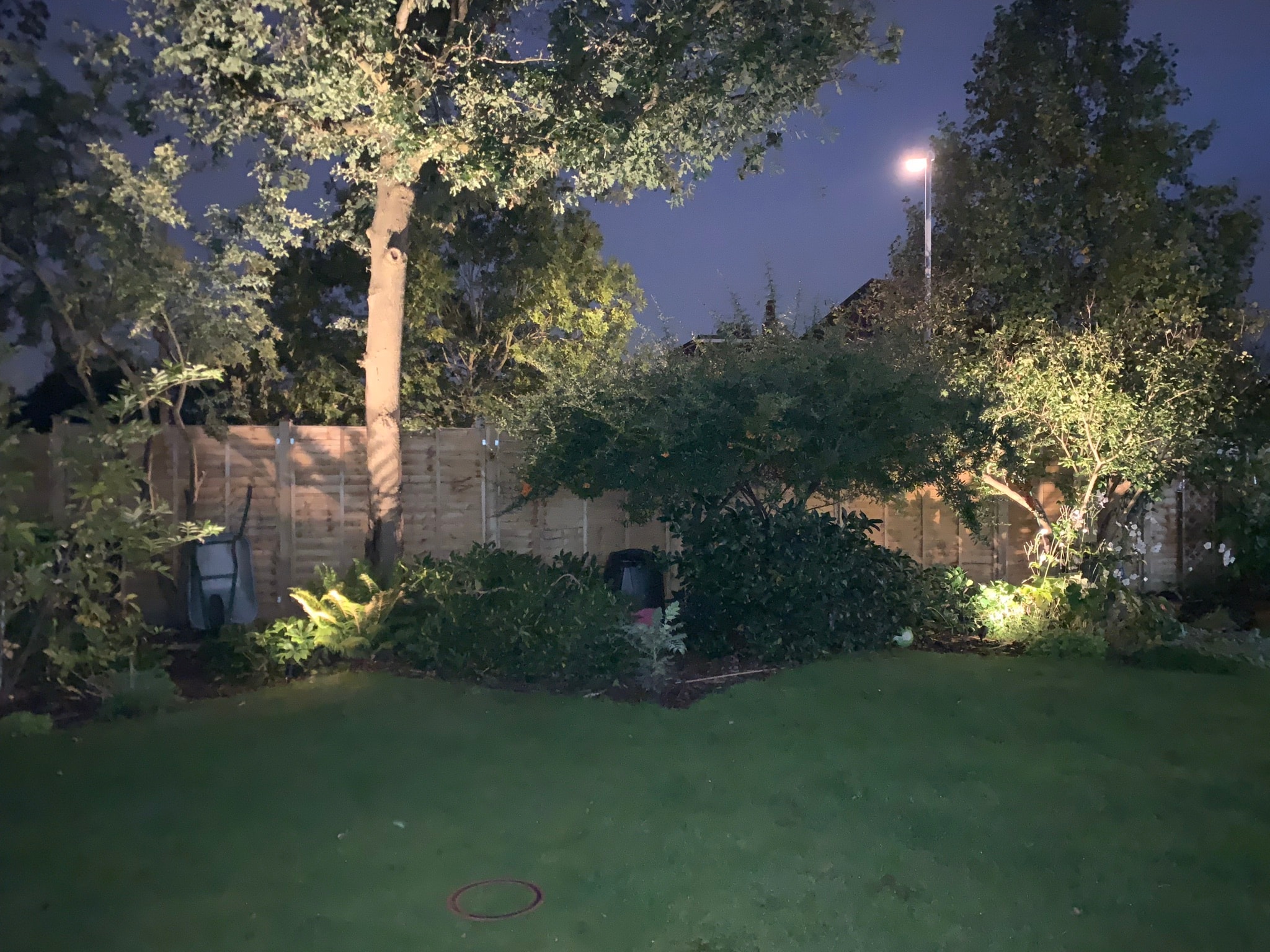 Garden Uplighting